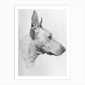 Bull Terrier Dog Line Sketch 2 Art Print