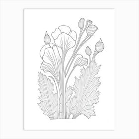 Marshmallow Herb William Morris Inspired Line Drawing Art Print