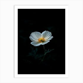 White Flower In The Dark 2 Art Print