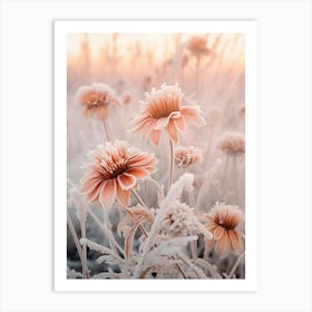 Frosty Botanical Gaillardia 4 Art Print