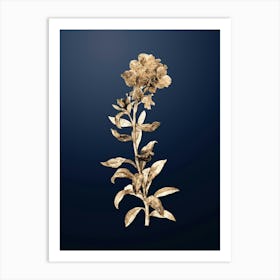 Gold Botanical Yellow Wallflower Bloom on Midnight Navy n.3304 Art Print