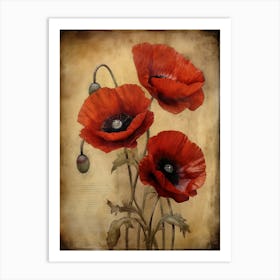 Poppies 18 Art Print