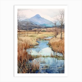 Killarney National Park Ireland 5 Copy Art Print