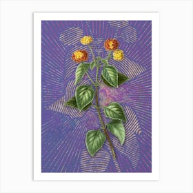 Vintage Tickberry Botanical Illustration on Veri Peri n.0942 Art Print