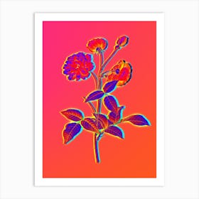 Neon China Rose Botanical in Hot Pink and Electric Blue n.0538 Art Print