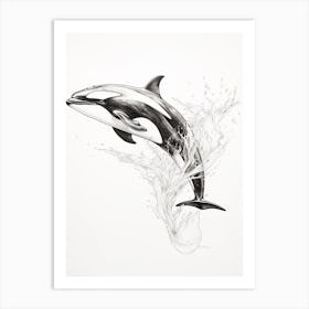 Orca Whale Pencil Line Drawing Art Print