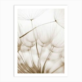 Dandelion Art Print