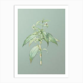 Vintage Commelina Zanonia Botanical Art on Mint Green n.0247 Art Print