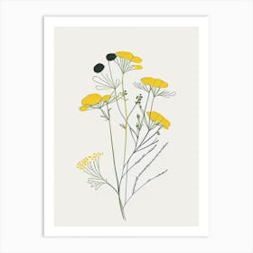 Feverfew Spices And Herbs Minimal Line Drawing 4 Art Print