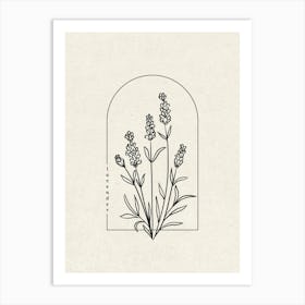 Lavender Flower Art Print