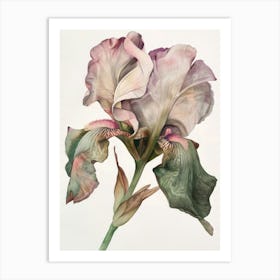 Poster dreamy Iris Flowers 2 Art Print