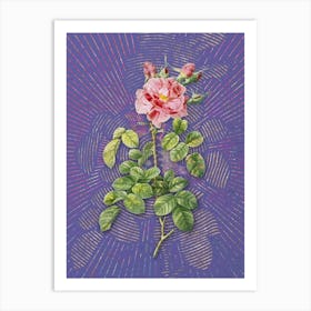Vintage Four Seasons Rose in Bloom Botanical Illustration on Veri Peri n.0950 Art Print