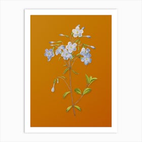 Vintage Phlox Botanical on Sunset Orange n.0613 Art Print