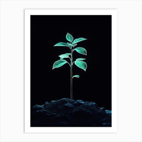 Green Plant In The Dark 5 Art Print