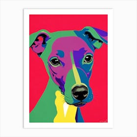Italian Greyhound Andy Warhol Style Dog Art Print