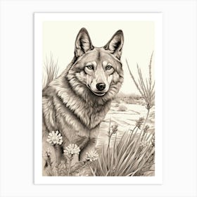 Gray Wolf Vintage Drawing 4 Art Print
