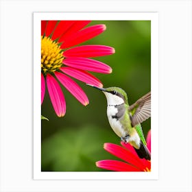 Female Ruby Throated Hummingbird -Reimagined 4 Art Print