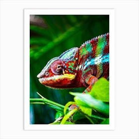 A Resplendent Vibrant Chameleon Basking Under The Sun In Its Natural Habitat The Intricacies Of It Art Print