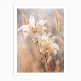 Boho Dried Flowers Lily 2 Art Print