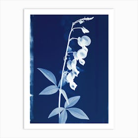 Orchid Art Print