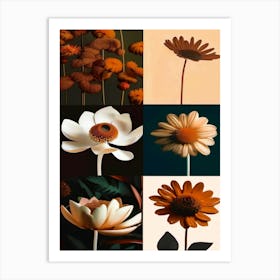 Collage Of Flowers,  Autumn Collection  Art Print