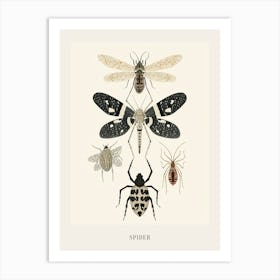 Colourful Insect Illustration Spider 11 Poster Art Print