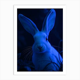 Rabbit In Blue Light - Diverse Art Illustration 49 Art Print