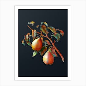 Vintage Wild European Pear Botanical Watercolor Illustration on Dark Teal Blue n.0720 Art Print