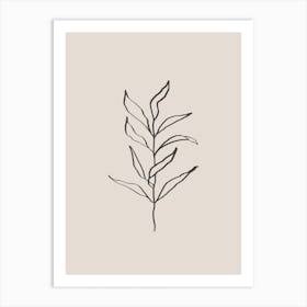 Plant Line Art No 394c Art Print