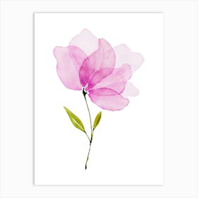 Pink Magnolia Watercolor Painting Art Print