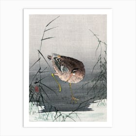 Ashi Ni Shigi, Ohara Koson Art Print