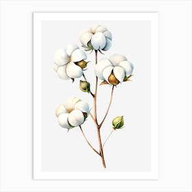 Cotton Flower 8 Art Print