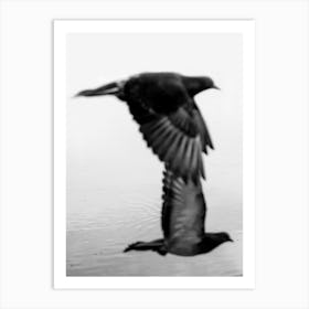 Black And White Phography. Two Black Birds. Vertical Version. Art Print