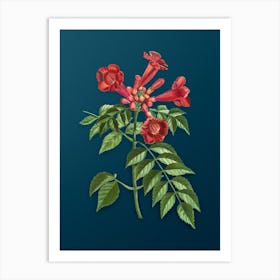 Vintage Trumpet Vine Botanical Art on Teal Blue n.0130 Art Print