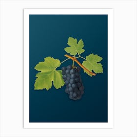 Vintage San Columbano Grapes Botanical Art on Teal Blue n.0756 Art Print