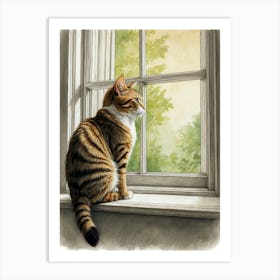 Cat Looking Out The Window 1 Art Print