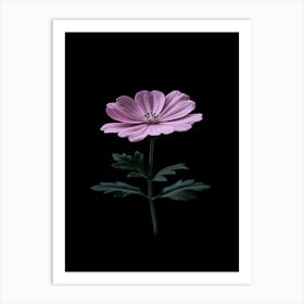 Pink Commia Flower Art Print