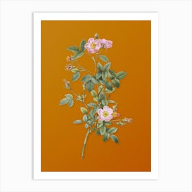 Vintage Pink Pompon Rose Botanical on Sunset Orange n.0361 Art Print