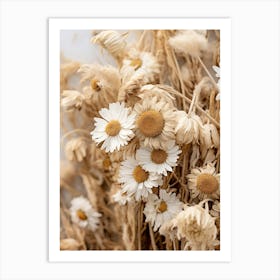 Boho Dried Flowers Daisy 4 Art Print