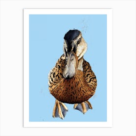 The Duck Art Print