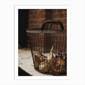 Basket Of Onions Art Print