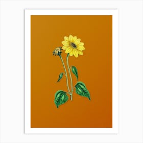 Vintage Trumpet Stalked Sunflower Botanical on Sunset Orange n.0086 Art Print