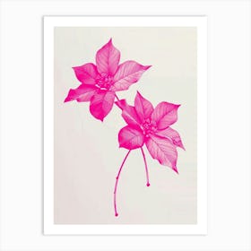 Hot Pink Poinsettia 2 Art Print