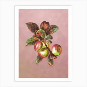 Vintage Apple Botanical Art on Crystal Rose n.0975 Art Print