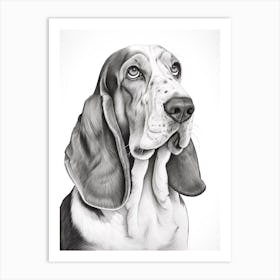 Basset Hound Dog, Line Drawing 2 Art Print