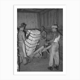 Untitled Photo, Possibly Related To Unloading Bale Of Cotton From Railroad Car, Compress, Houston, Texas By Art Print