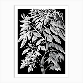 Tree Of Heaven Leaf Linocut Art Print