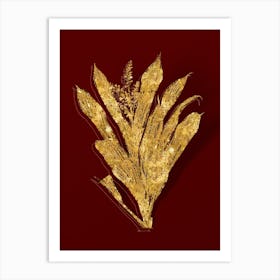 Vintage Cordyline Fruticosa Botanical in Gold on Red n.0349 Art Print