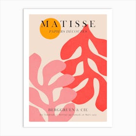 Floral matisse 5 Art Print