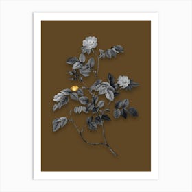 Vintage Sweetbriar Rose Black and White Gold Leaf Floral Art on Coffee Brown n.0287 Art Print
